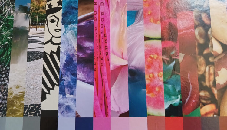 Directed by Jum Nakao, Color Trend 2024 Highlights Color Trends in Plastics for Housewares, Construction and Packaging.